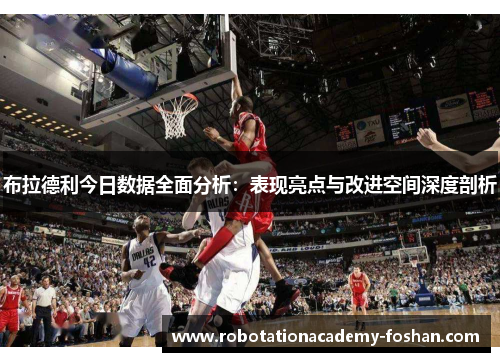 布拉德利今日数据全面分析：表现亮点与改进空间深度剖析