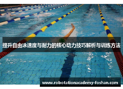 提升自由泳速度与耐力的核心动力技巧解析与训练方法